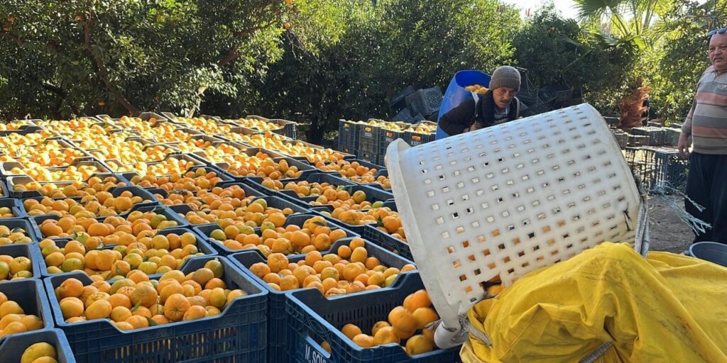 Yıllarca ‘Sağlıklı’ Denilerek Doktorlar Tarafından Önerildi: Meğerse Sağlığımızı Yerle Bir Ediyormuş…