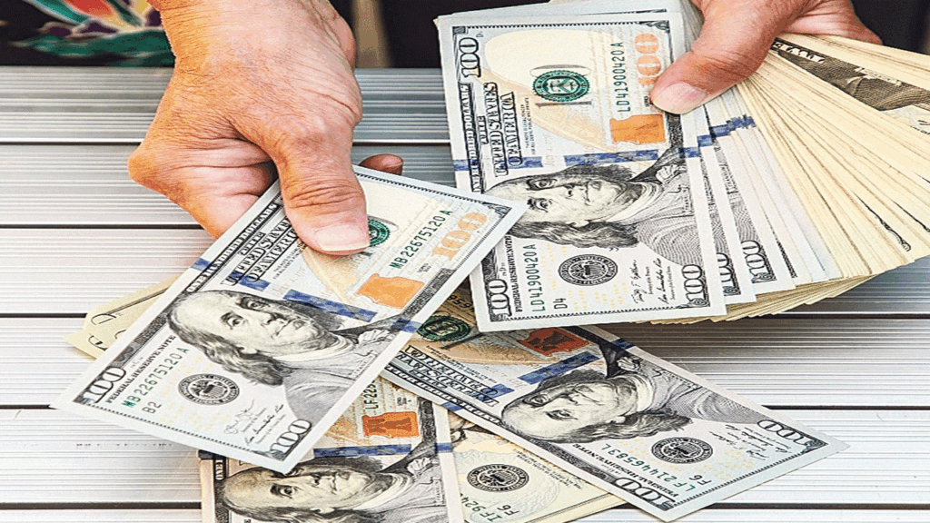 Firmaların kasımda net döviz açığı 81,6 milyar dolar oldu