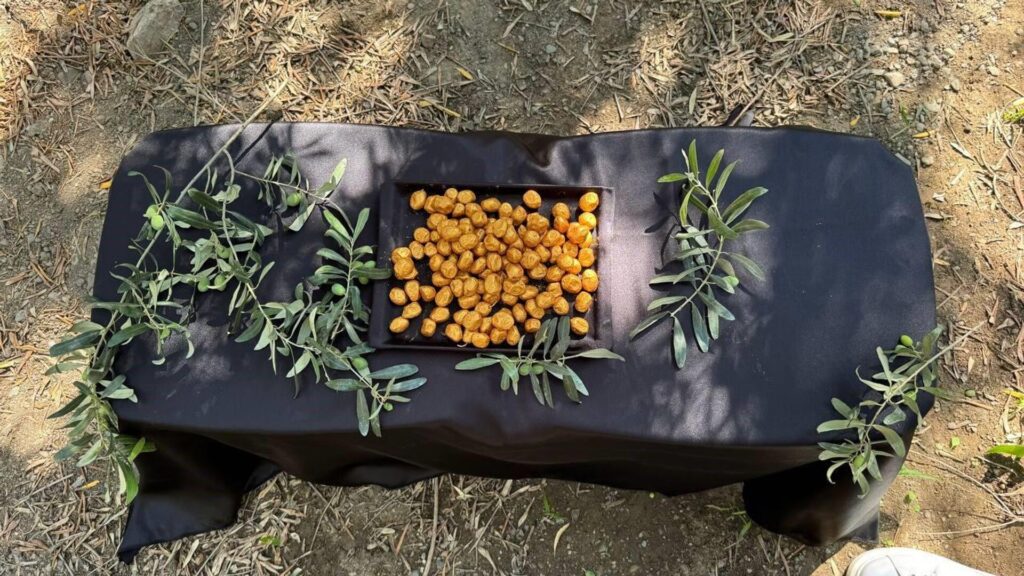 Altın kaplamalı zeytin: ‘Taleplere yetişemiyoruz’