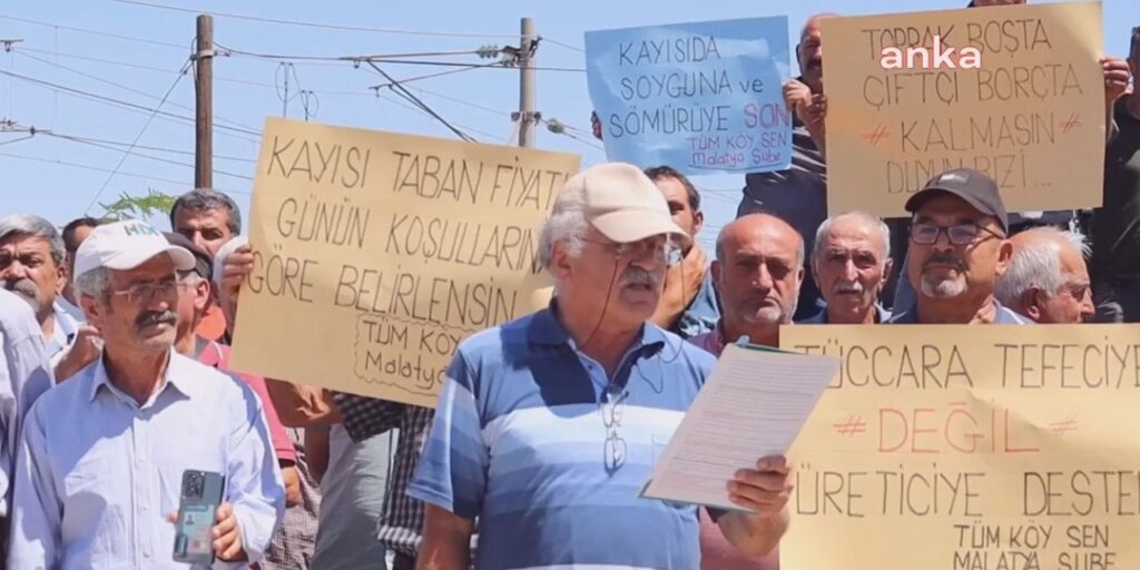 Malatyalı’nın kayısı isyanı: Vekiller nerede? Bıçak kemiğe dayandı