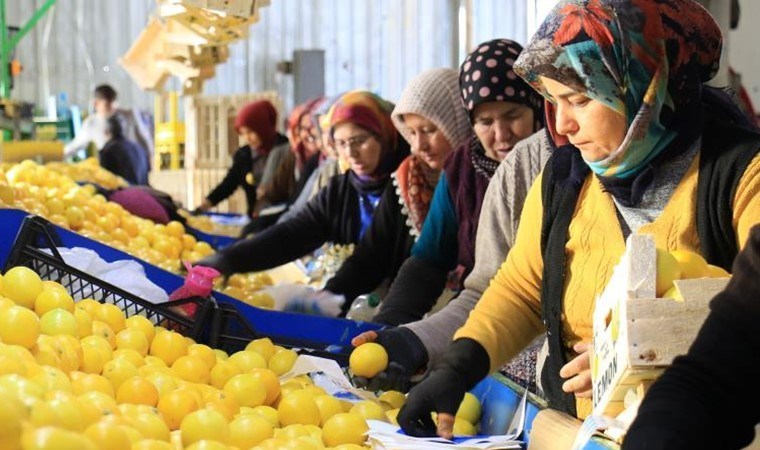 ‘Kütdiken’ ve ‘Lamas’ Erdemli’de kadınların gelir kapısı oldu! 60 ülkeye ihracat ediliyor