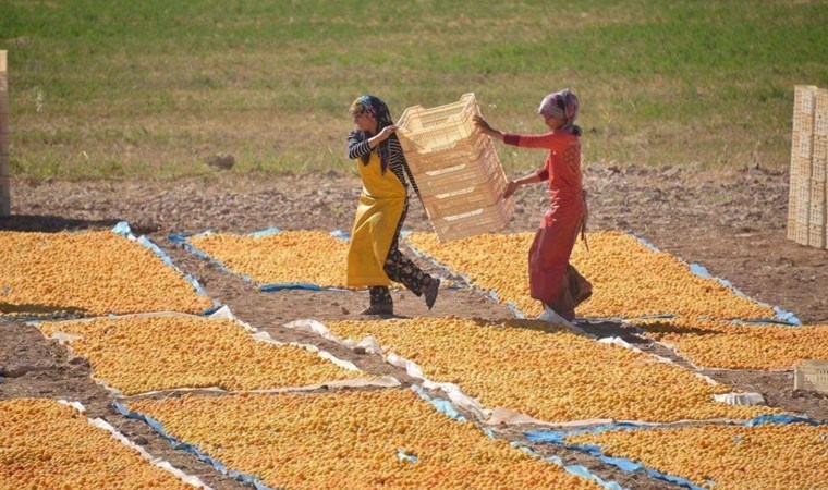Kırmızı et fiyatlarını ikiye katladı: Tarlada 200, TL, markette 5 katı!