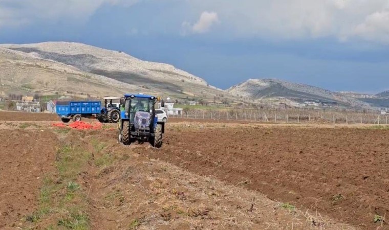 Ergani’de ekim başladı! Sofraların vazgeçilmezi: Nisan ayında hasat edilecek…