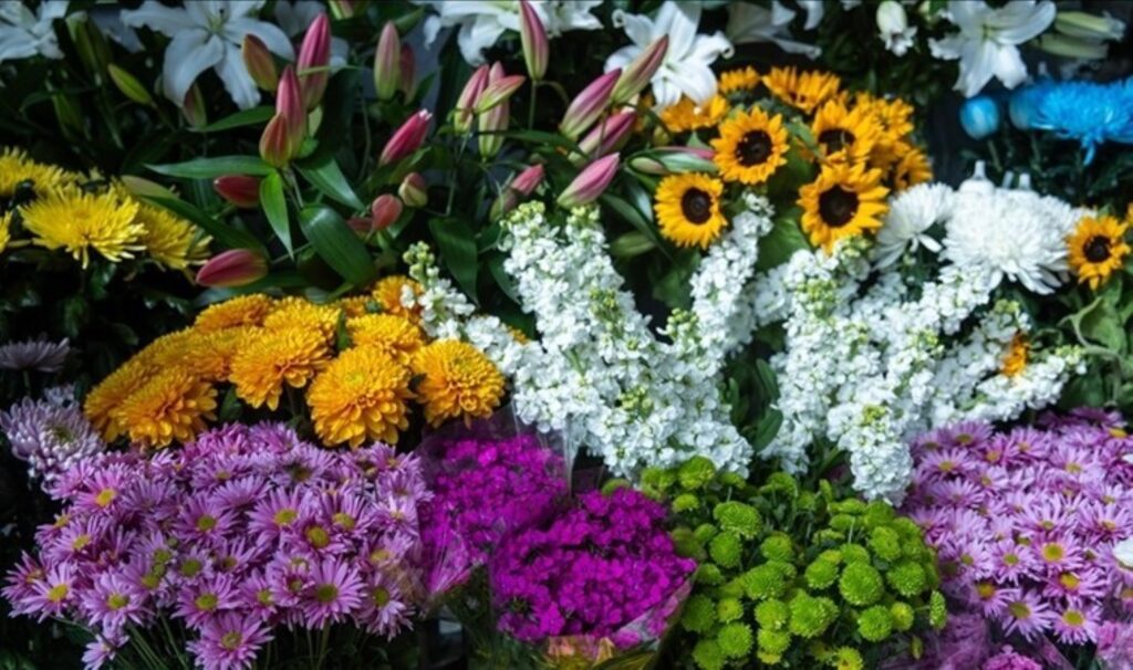 Evdeki bitkilerinizi güçlendirmenin sırrı: Doğal gübre ile çiçekleriniz canlanacak…