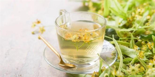 Kış geldi, ıhlamur fiyatları iki katına yükseldi