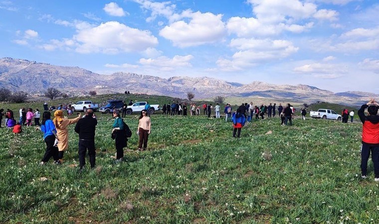 Sadece 2 ay yaşıyor: Yetiştiği tarla ziyaretçi akınına uğruyor