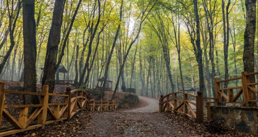‘Belgrad’ seferberliği