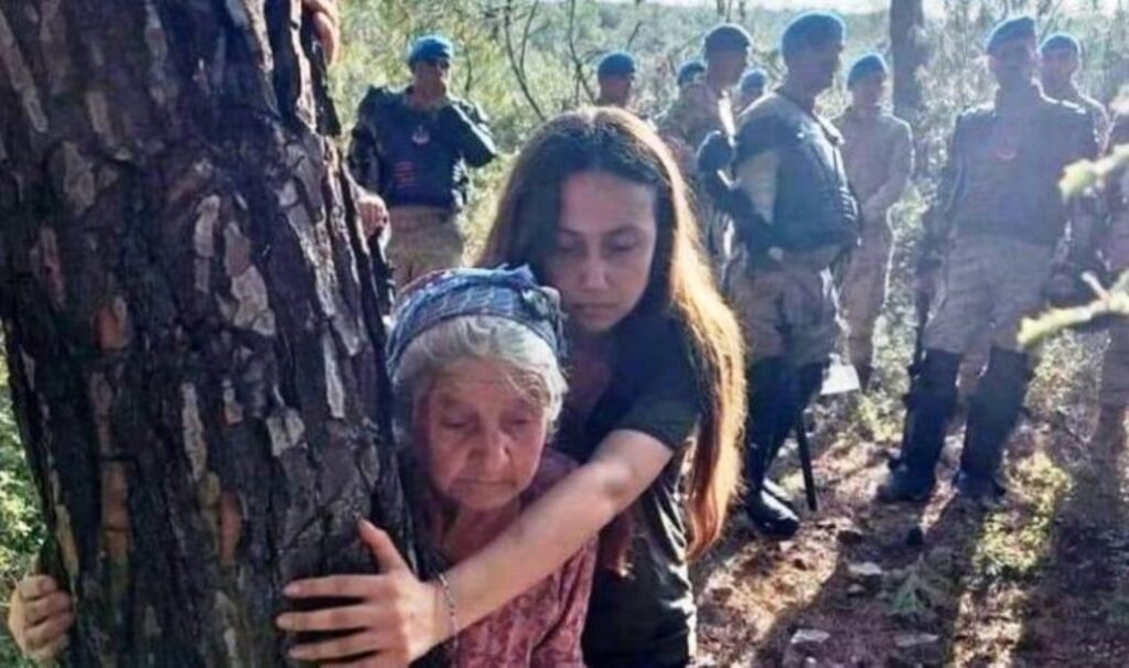 Çevre mücadelesi sandıklara yansıdı: Ekolojik kıyım yapılan bölgelerde AKP kaybetti, yaşam savunucuları kazandı