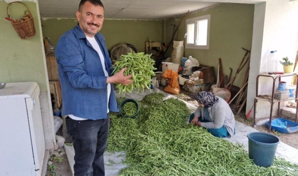 Hatay’da hasat başladı: Tarlada kilosu 100 TL