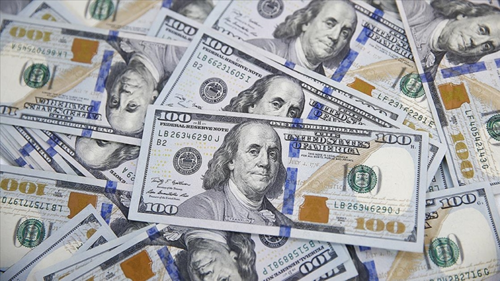 Yurt içi yerleşiklerin döviz mevduatı 1 milyar 446 milyon dolar arttı