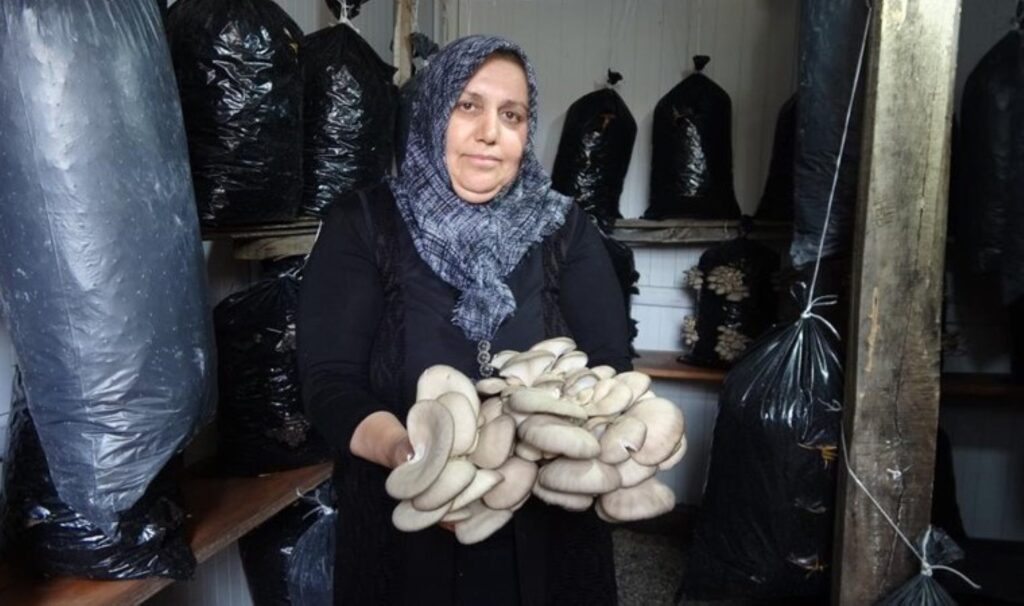 5 metrekare alanda üretime başladı! 150 kilo ürün alacak…