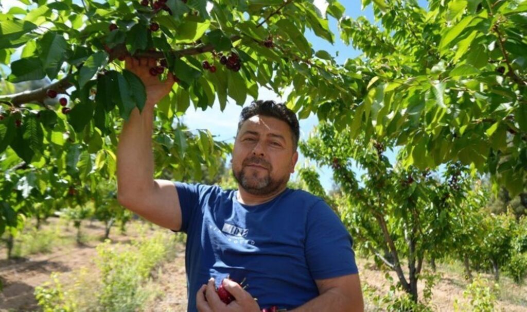 Bilecik’te hasat edildi: Tarlada 39, markette 199 lira