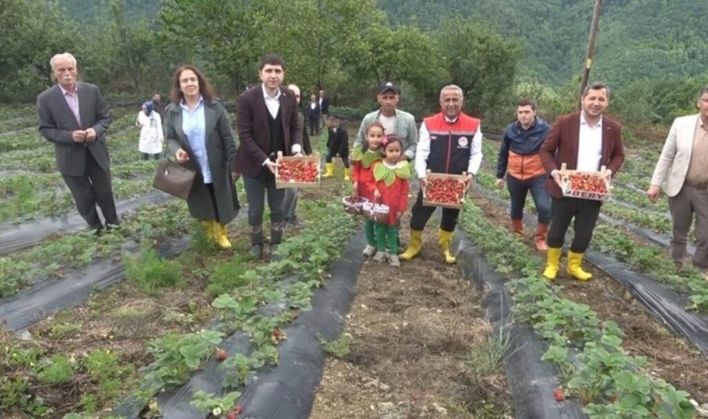 Bin rakımda yetişiyor, üreticisi taleplere yetişemiyor! Hobi olarak ekilmişti şimdi 100 dönümde üretiliyor…