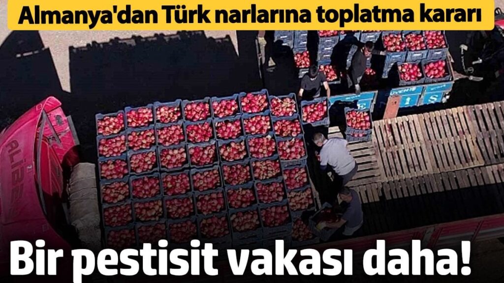 Bir pestisit vakası daha! Almanya Türk narlarını toplatma kararı aldı