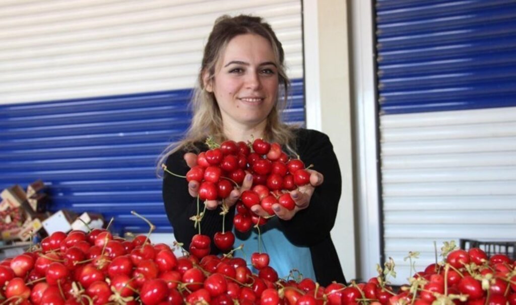 Dünya ülkeleri tercih ediyor! Bahçede 200 TL…