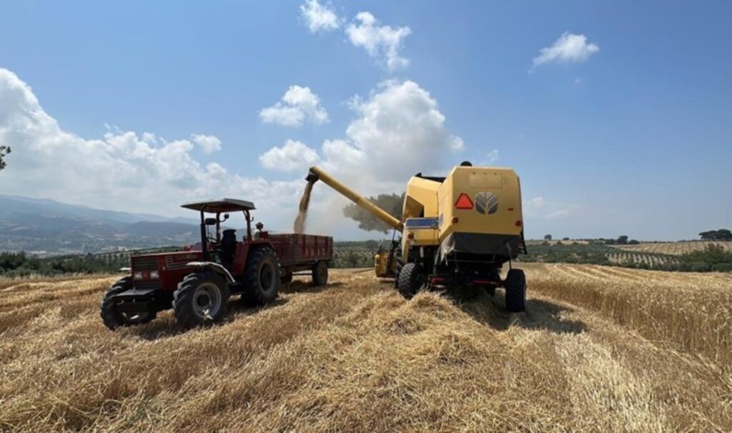 Hatay’da hasat başladı