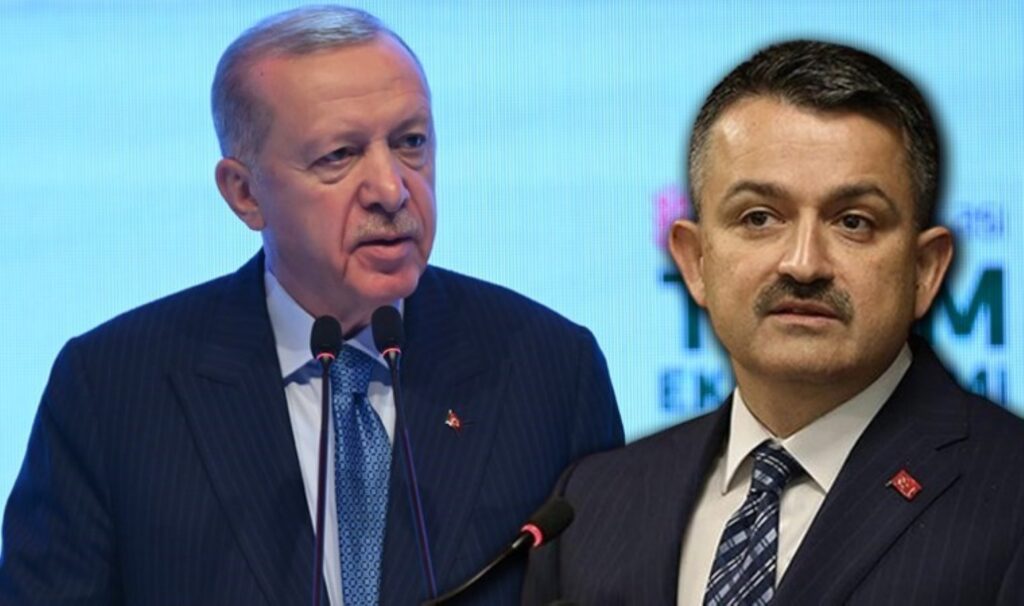 Konu: Saman ithalatı… Erdoğan, Bakan’ını unuttu! ‘Paramız var ki yapıyoruz’ demişti…