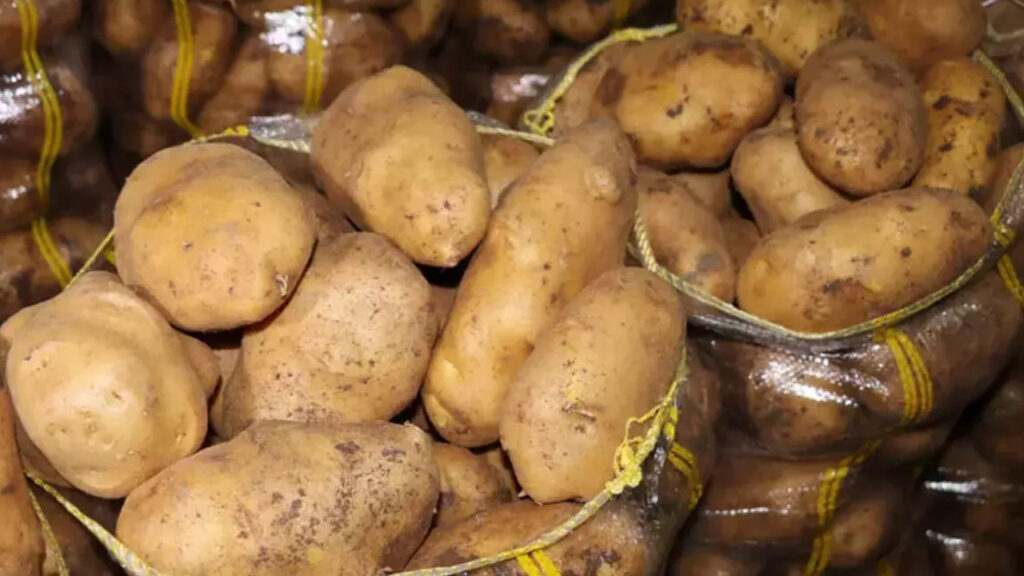Patates hesabı: Üretici 8 liraya mal ediyor, 4 liraya satıyor