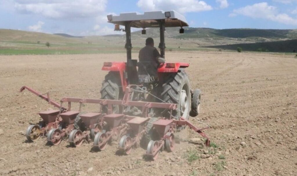 Sandıklı’da ekim tamamlandı: 70 bin ton rekolte bekleniyor