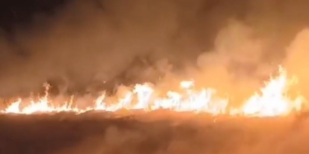 Sultan Sazlığı Milli Parkı’nda yangın çıktı