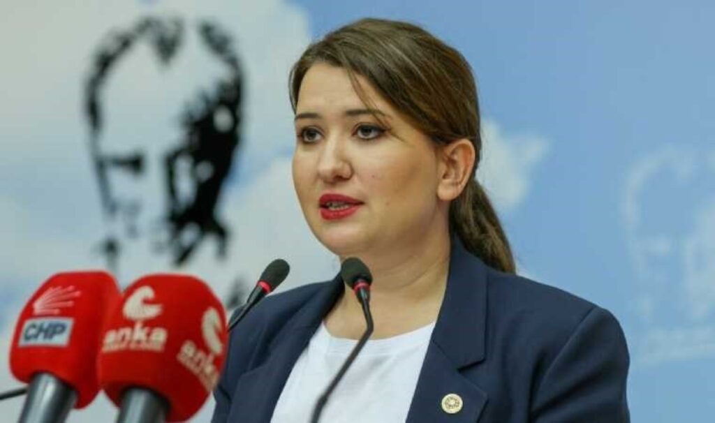 CHP Genel Başkan Yardımcısı Gökçen: Anayasa’ya saygının olmadığı bir ortamda anayasa tartışmanın bir anlamı yoktur