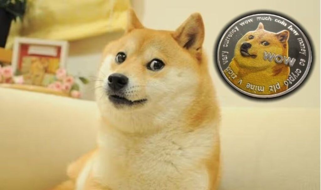Dogecoin’in simgesi köpek ‘Kabosu’ hayata gözlerini yumdu