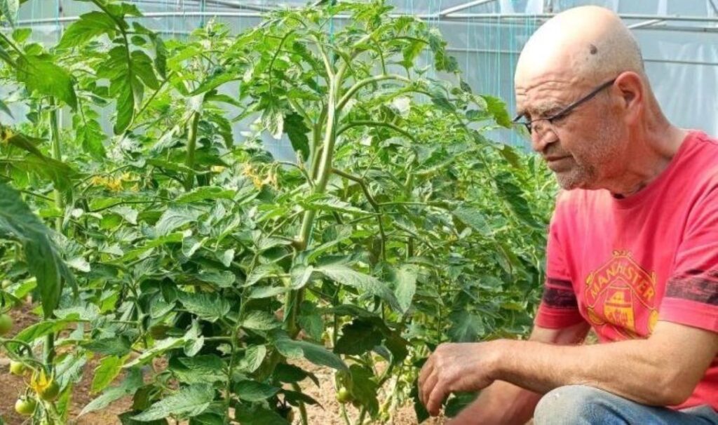 Emekli olduktan sonra Çemişgezek’e yerleşti! Örnek olsun diye üretmeye baladı…