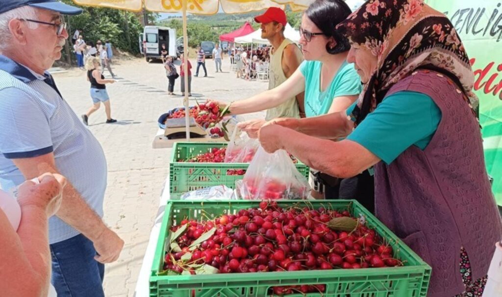Enez’de üretiliyor Avrupa’ya ihraç ediliyor: Hasadı başladı…