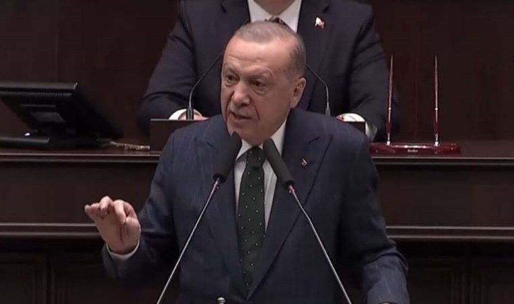 Erdoğan yeni sokak hayvanları düzenlemesini açıkladı: ‘Başarabilirsek gerek kalmayacak’