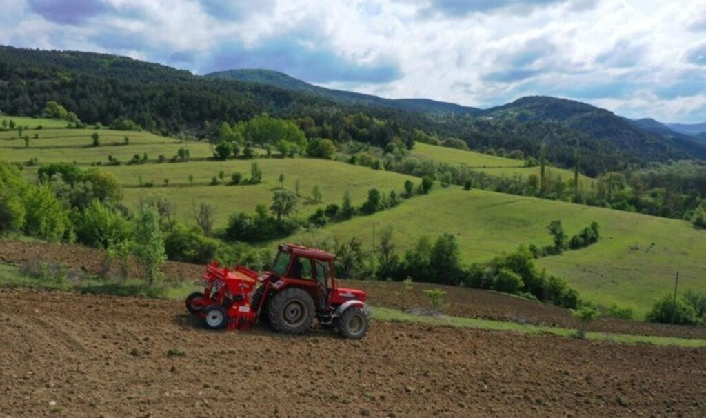 Gluten hassasiyeti olanlar için ekildi! Alım garantili…