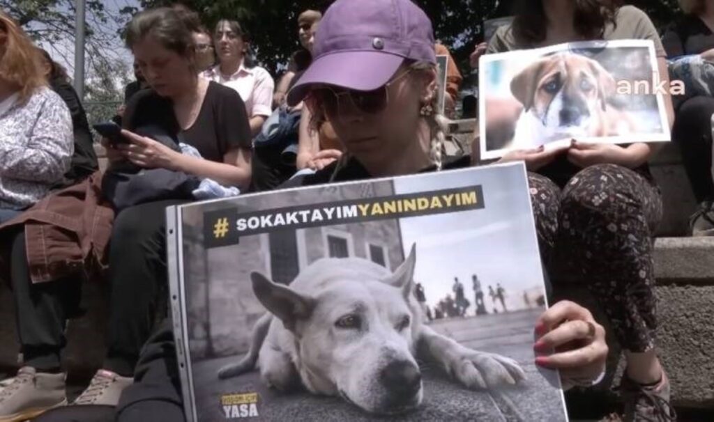 Hayvanseverlerden TBMM önünden tepki: ‘Hayvanları hedef gösteremezsiniz’