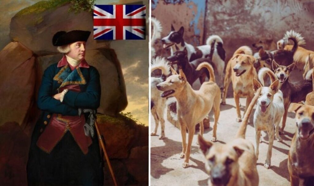 İngiliz yerleşimcilerin Kuzey Amerika yolculuğu: ‘Köpek etiyle hayatta kaldılar’