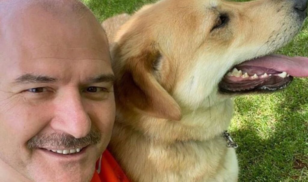 Saray’dan Süleyman Soylu’yla ilgili ‘sokak hayvanları’ iddiasına yalanlama