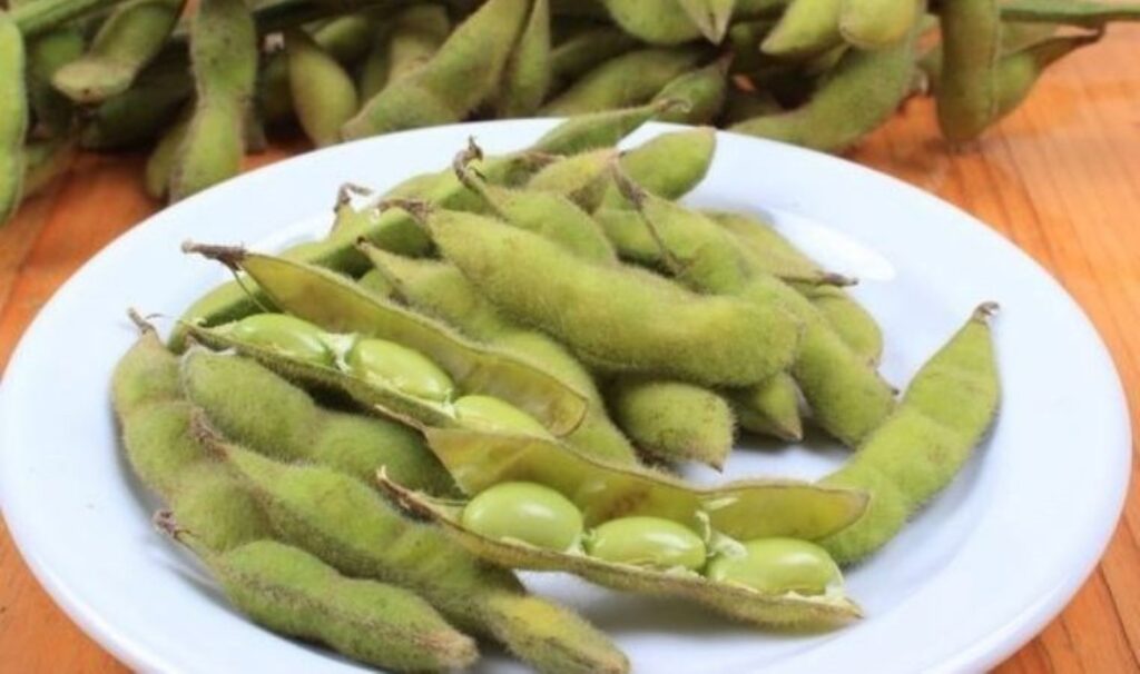 Taze fasulyeye benzeyen protein zengini besin: Edamame ve bilinmeyen faydaları…