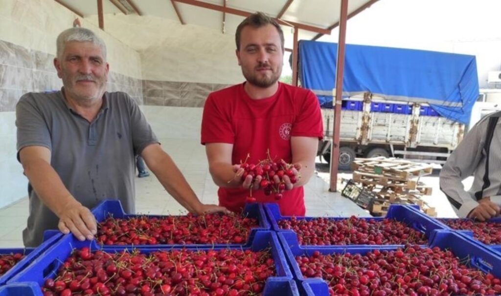 Tütüne alternatif olarak üretilmişti! Üreticiler umduğunu bulamadı…