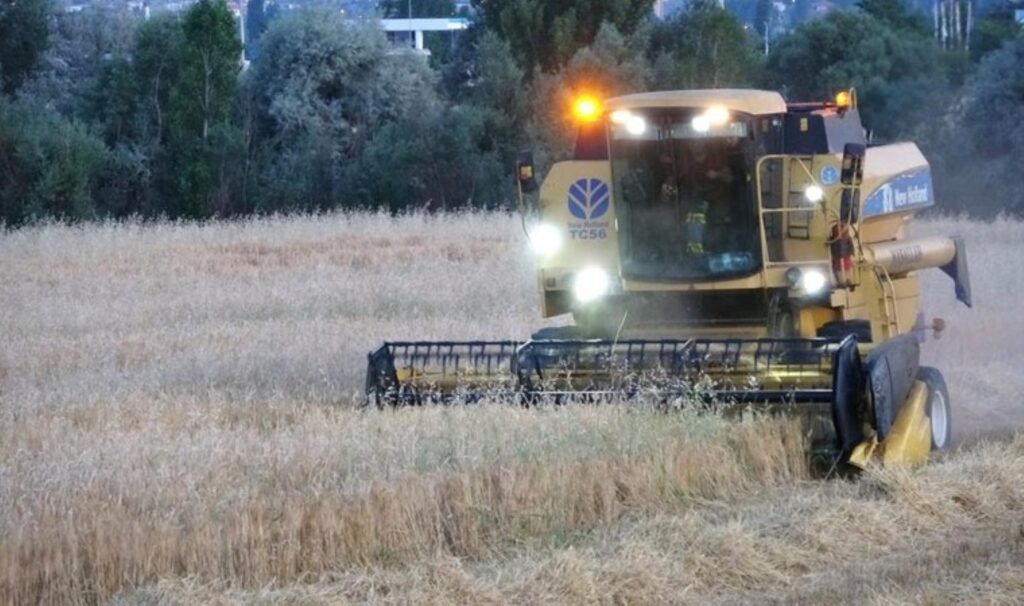 Yozgat’ta hasat erken başladı: Çiftçi istediği verimi alamadı