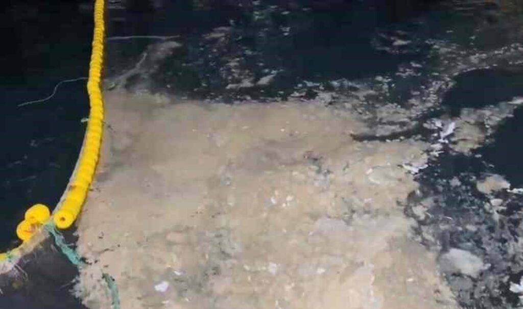 Av sezonu erken kapandı: ‘Marmara denizi ölüyor’