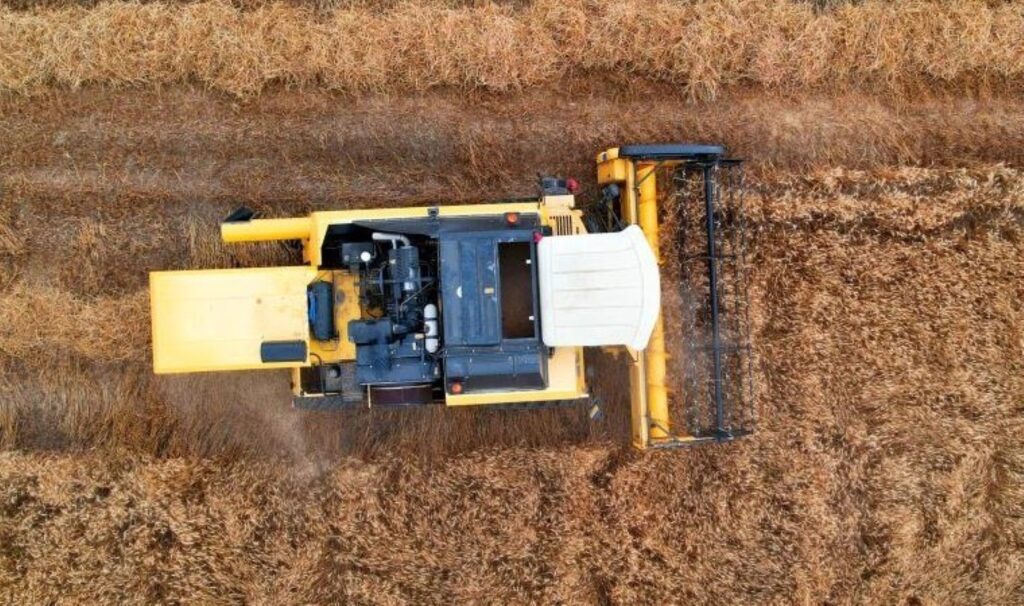 Bu kez hasat öğrenciler için yapıldı! Yılda 150 ton ürün alınıyor…