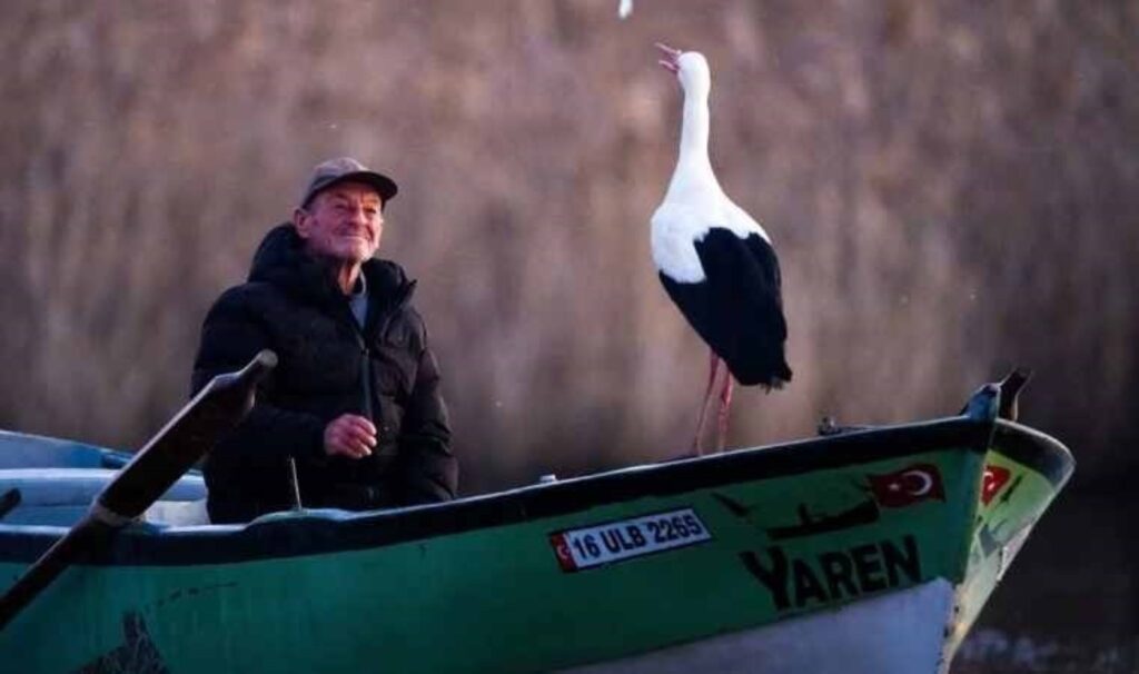 Dostluk kaldığı yerden devam ediyor… Yaren Leylek 14. kez Balıkçı Adem’in yanında