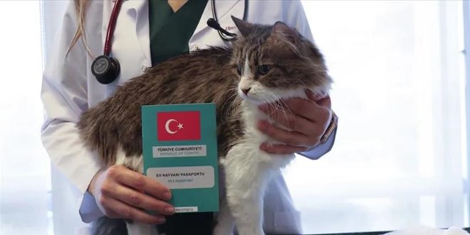 Evcil hayvan sahipleri dikkat! Mikroçip zorunluluğu 2025’e uzatıldı