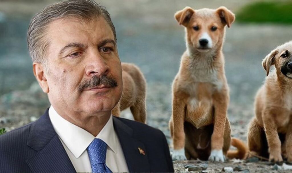 ‘Gönlüm ötenaziden taraf değil’ demişti: Tepkilerin ardından Fahrettin Koca’dan yeni paylaşım