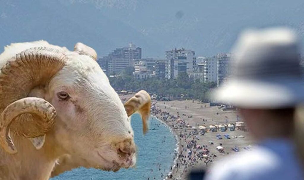 Kurban Bayramı’nda ‘tatil’ anketi: Yurttaşların çoğu evinde geçirecek!