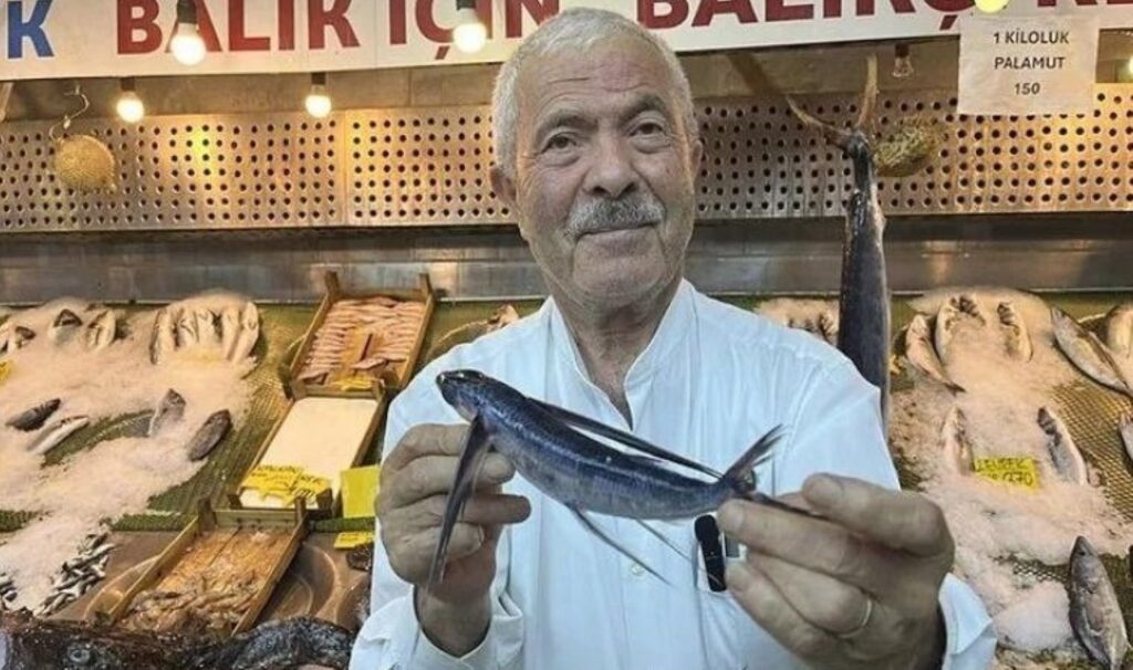 Marmara’da görüldü: Uçan balık nedir? Uçan balık yenir mi? Uçan balık zararlı mı?