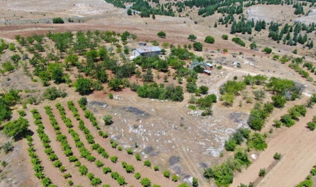 Medeniyetler beşiği 5 bin yıllık Harput’ta hasat erken başladı