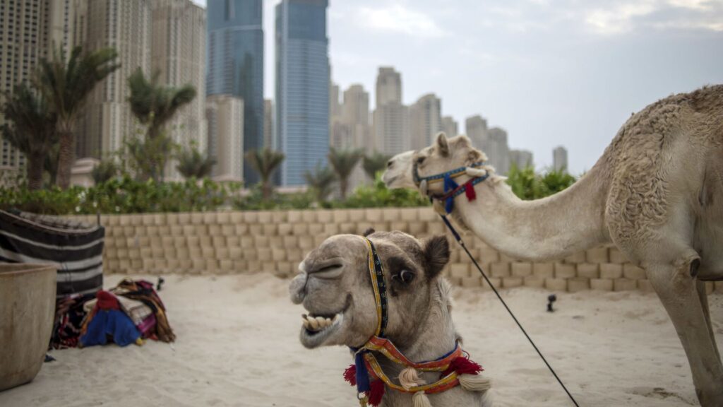 Türkler yurt dışı gayrimenkul alımında rekor kırdı: Dubai ve Yunanistan zirvede