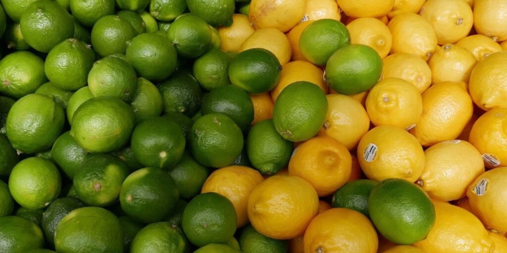 Bakanlık duyurdu: Limon ihracatı geçici olarak durdurulacak