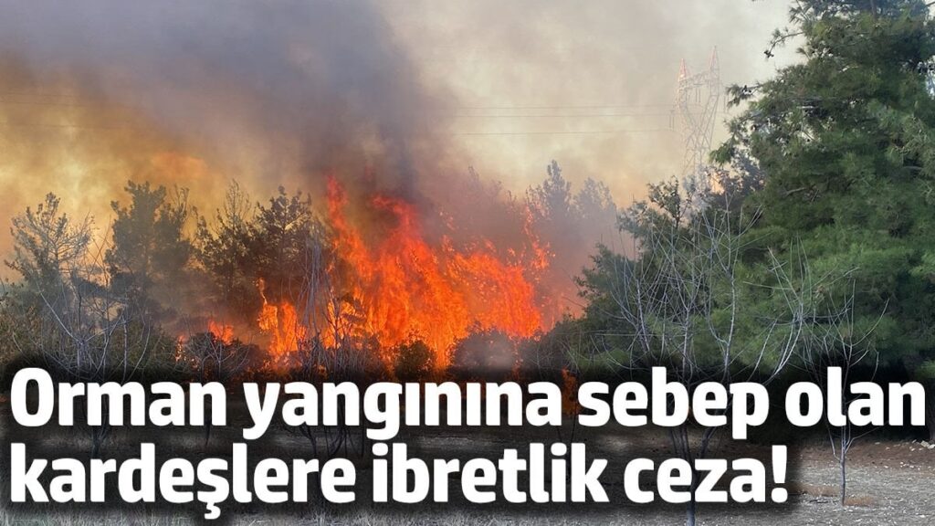 Çanakkale’de 2 kardeşe 4,6 milyon TL ceza: 4 hektar orman yangınına sebep olmuşlardı