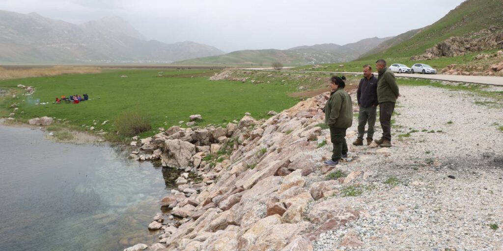 Hakkari’de binlerce yılan sürü halinde ortaya çıktı: Herkes oraya koştu
