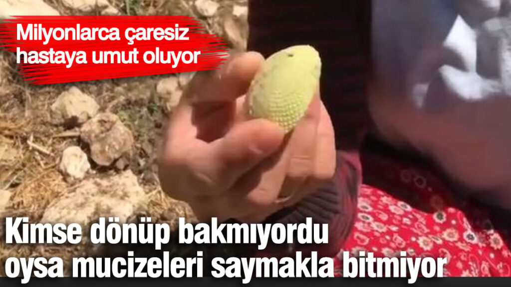 Kimse dönüp bakmıyordu oysa mucizeleri saymakla bitmiyor. Milyonlarca çaresiz hastaya umut oluyor