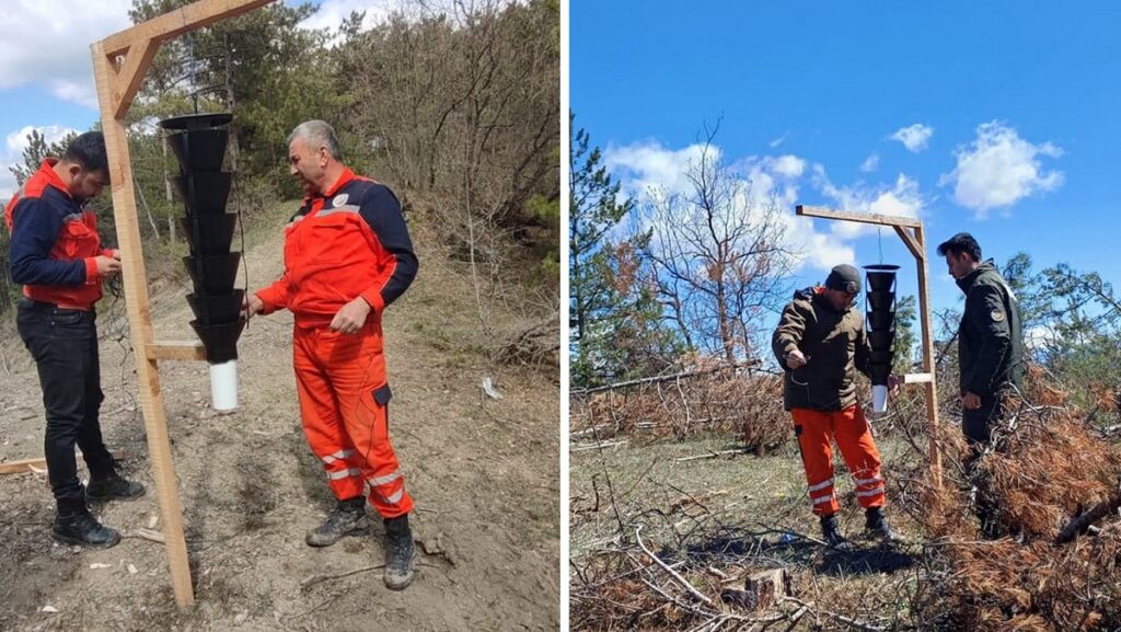 Ormanları kurtaran tuzak: Avı başladı